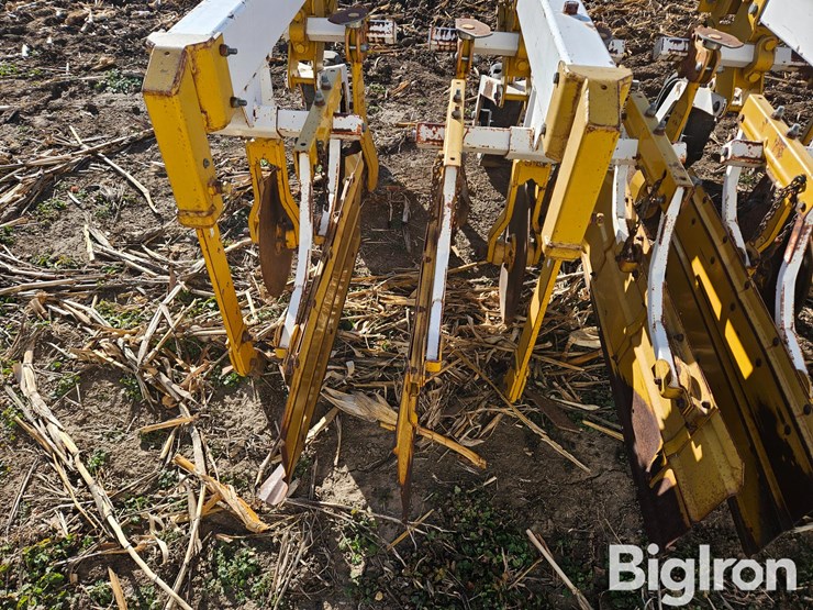 buffalo-6300-image-20