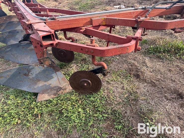 international-5-image-12