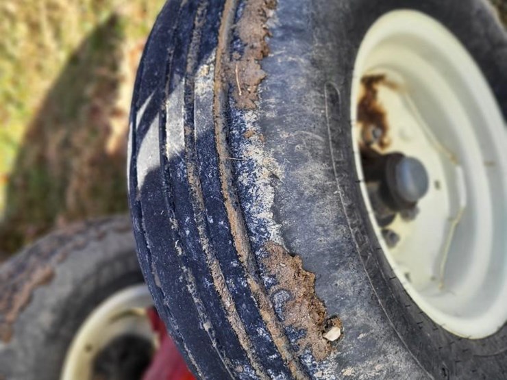 sunflower-1433-28-image-20