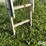 werner-20'-extension-ladder-&-8'-step-ladder-image-7