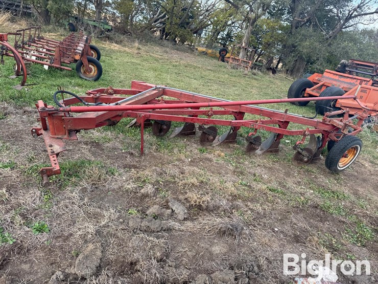 international-5-image-8