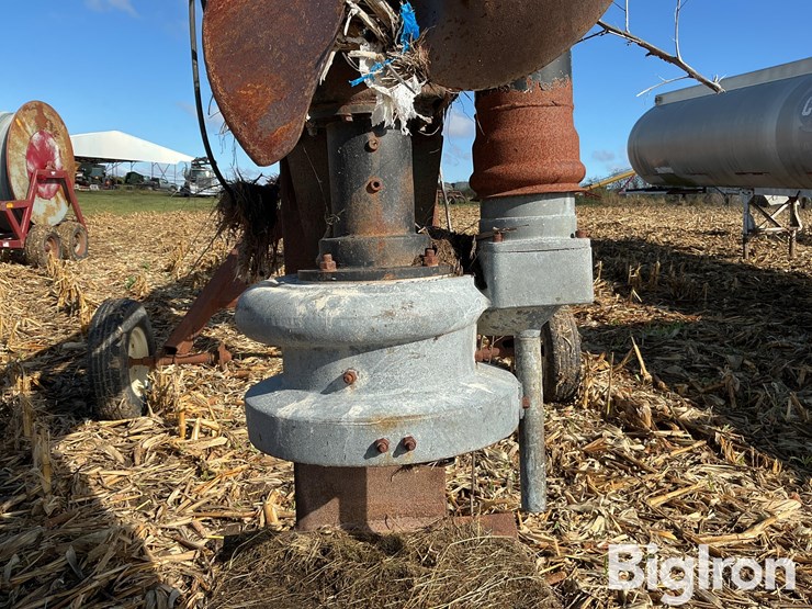 balzer-1000-image-20