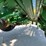 john-deere-1770-ccs-image-50