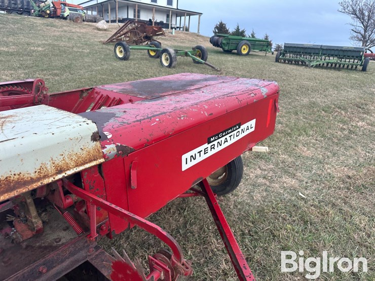 international-47-image-18