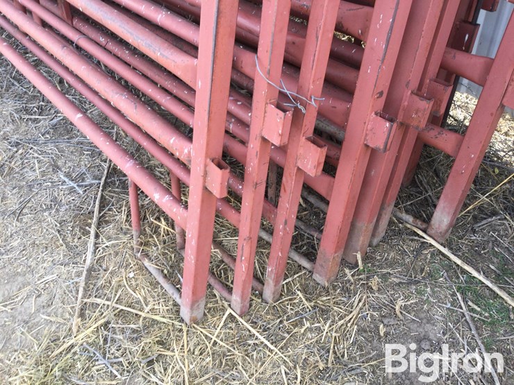 metal-livestock-panels-image-18