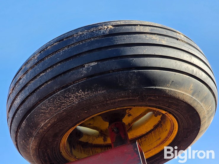 sunflower-80ta-image-18