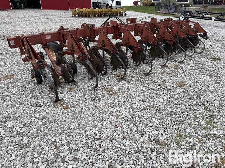 international-183-image-7