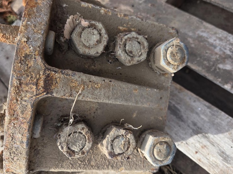 international-856-image-14