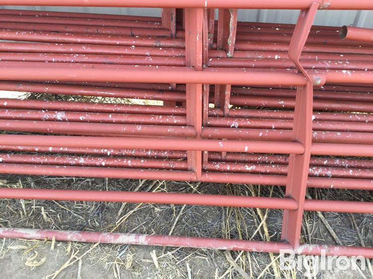 metal-livestock-panels-image-17