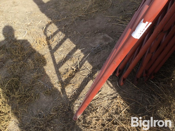 metal-livestock-panels-image-12