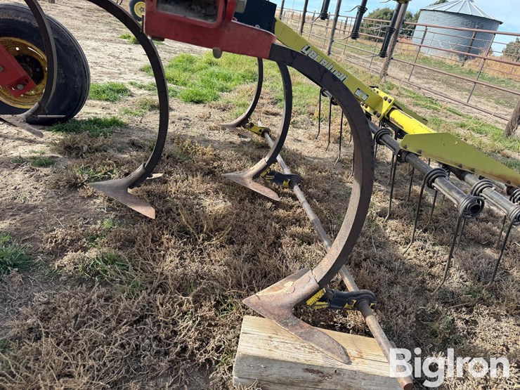 sunflower-2331-image-13