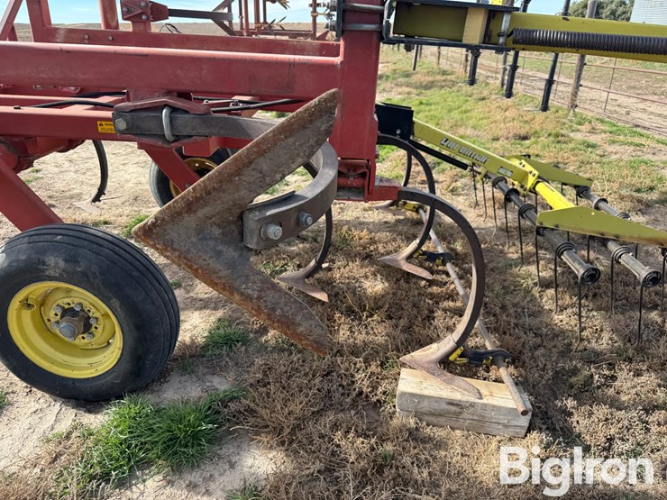 sunflower-2331-image-12