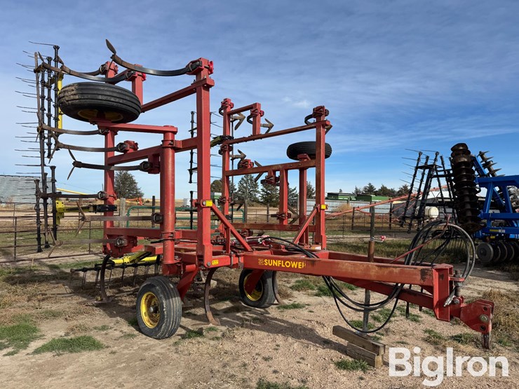 sunflower-2331-image-3