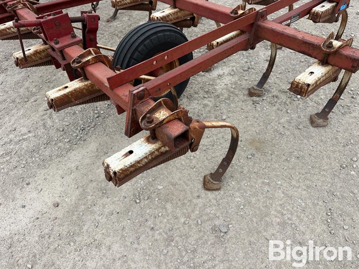 international-45-image-17