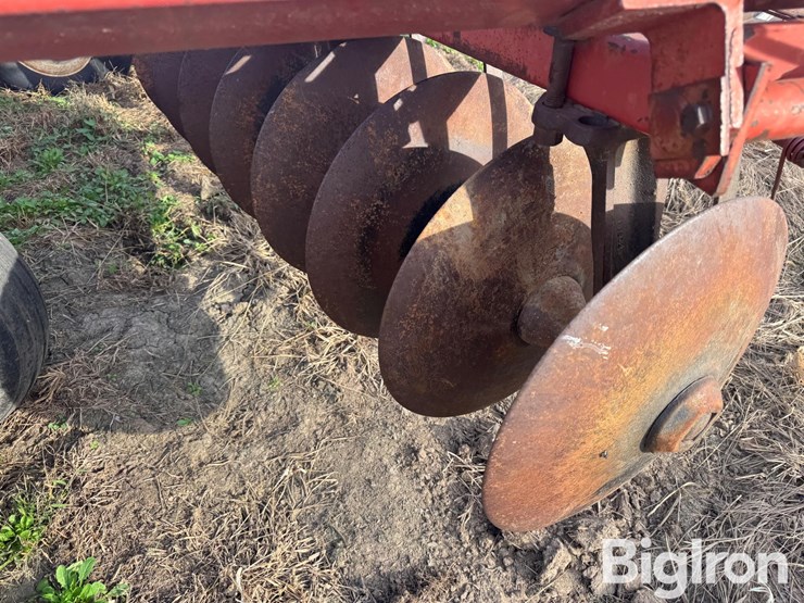 international-490-image-20