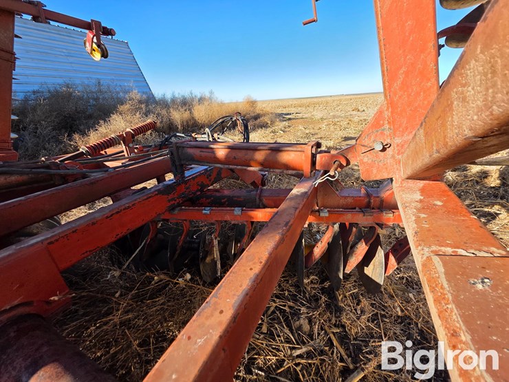 sunflower-80ta-image-14