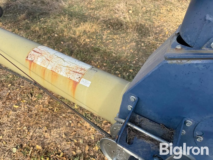 international-h-image-15