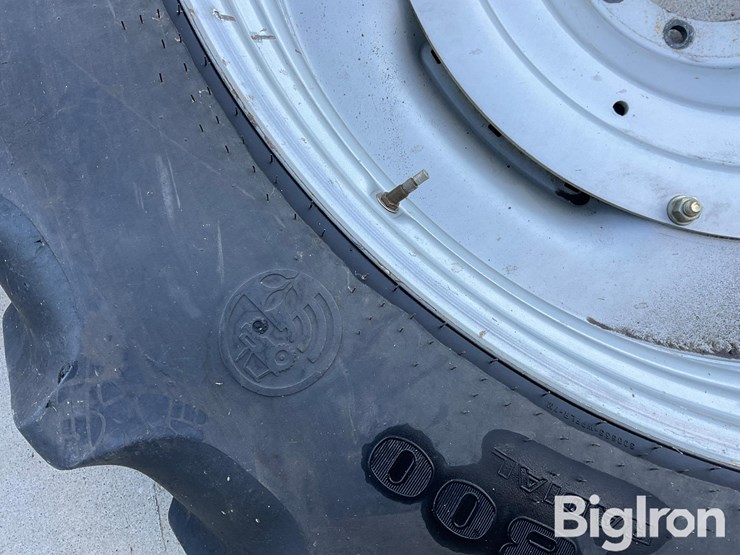 international-10-image-14