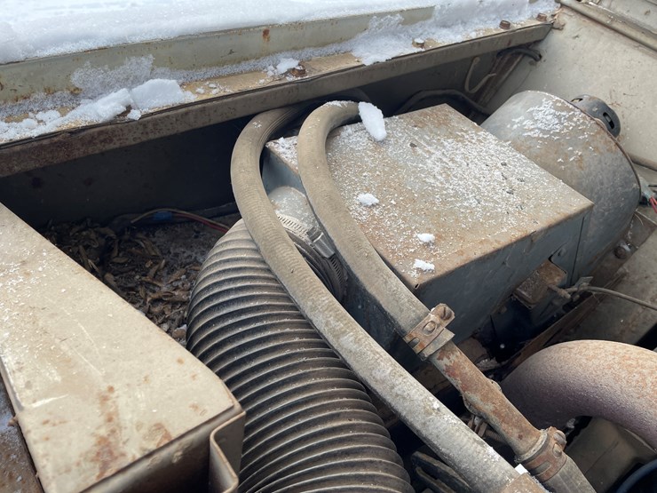 international-80-image-54