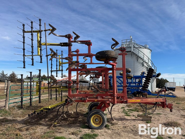 sunflower-2331-image-4