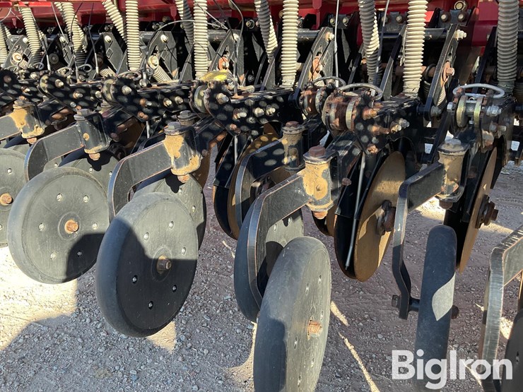 sunflower-9433-40-image-13