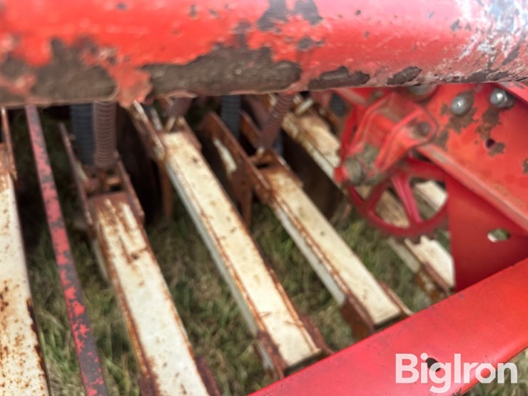 international-620-image-16