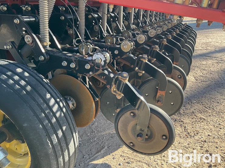 sunflower-9433-40-image-10