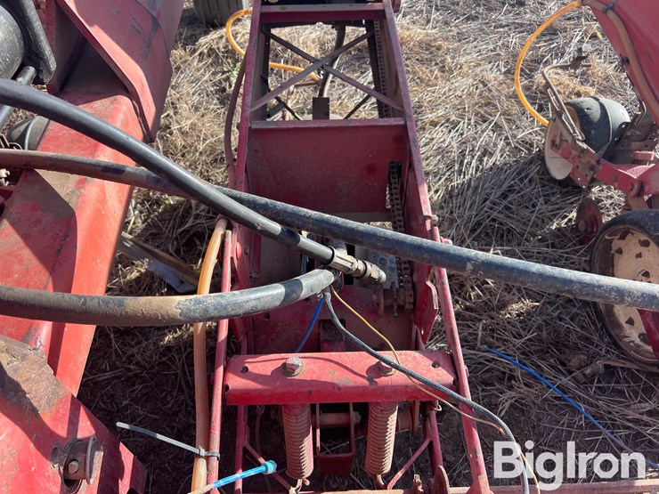 international-800-image-20