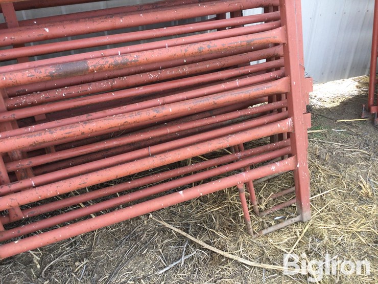 metal-livestock-panels-image-14