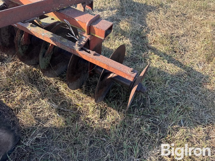 international-12-image-19