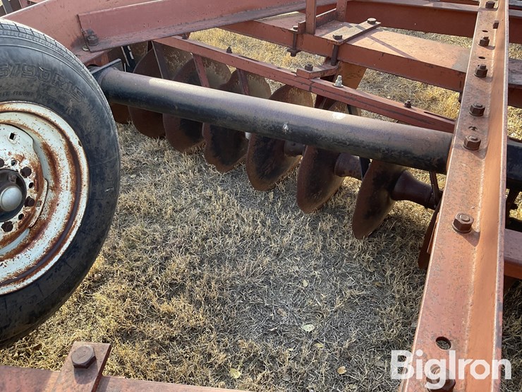 international-480-image-20