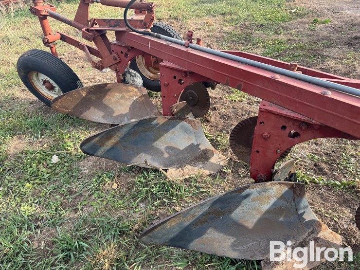 international-5-image-13