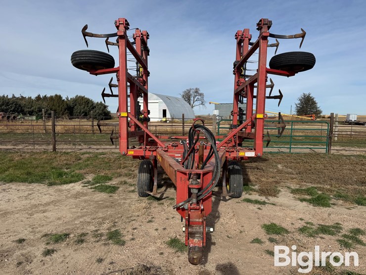 sunflower-2331-image-2