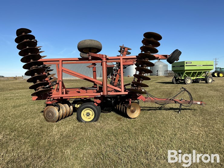 sunflower-1232-21-image-4