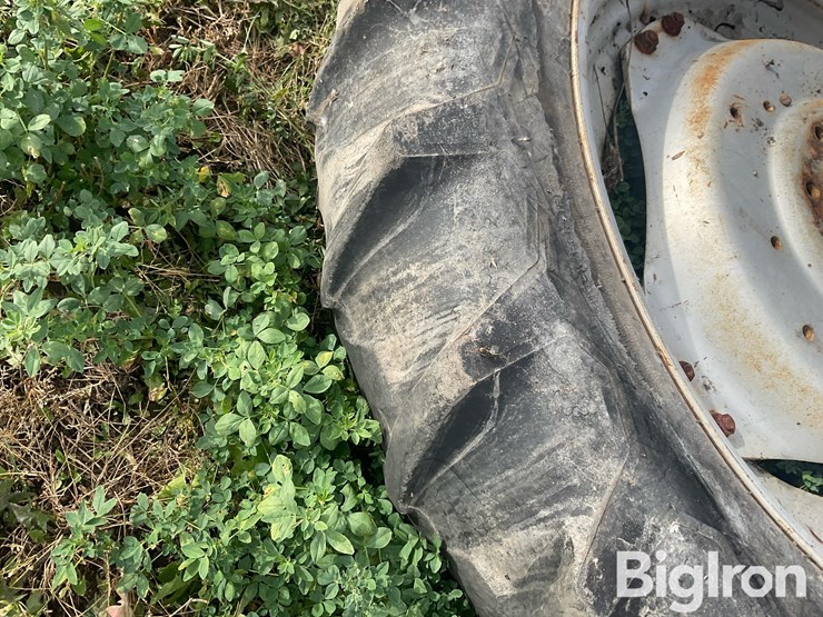 international-8-image-16