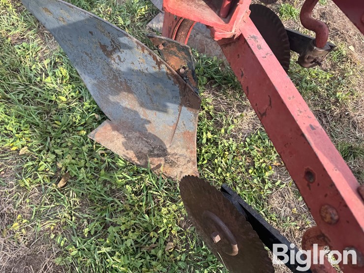 international-5-image-15