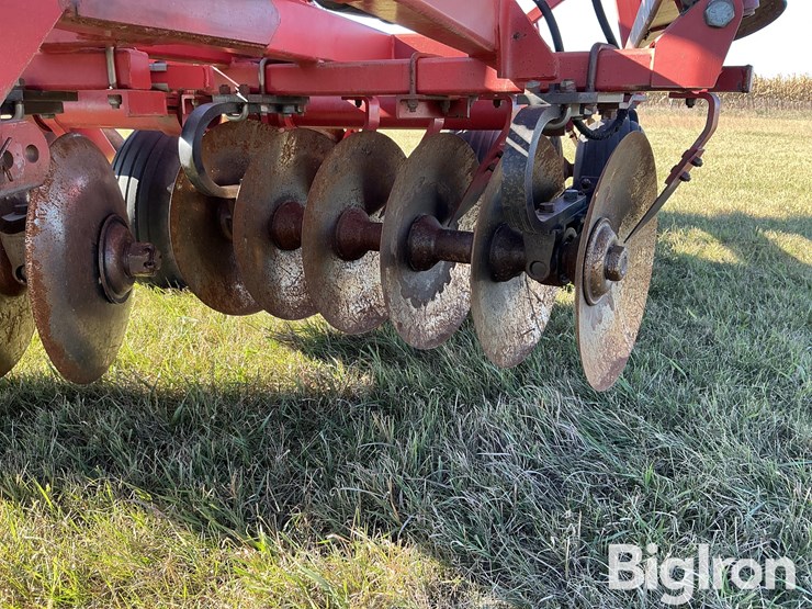 sunflower-1232-21-image-15