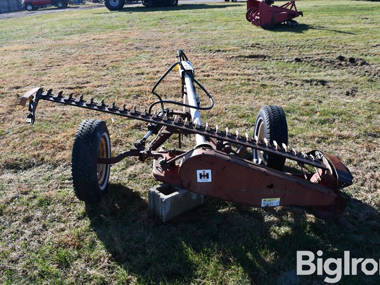 international-7-image-6