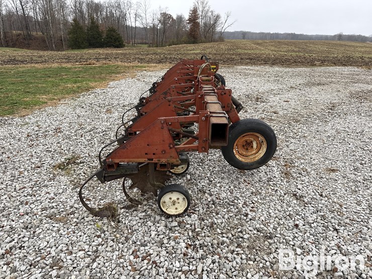 international-183-image-4