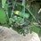 john-deere-4555-image-11