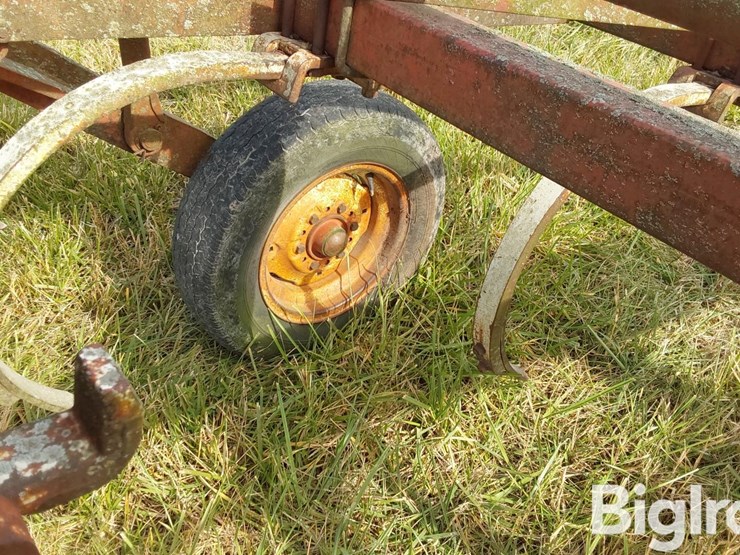 international-55-image-19