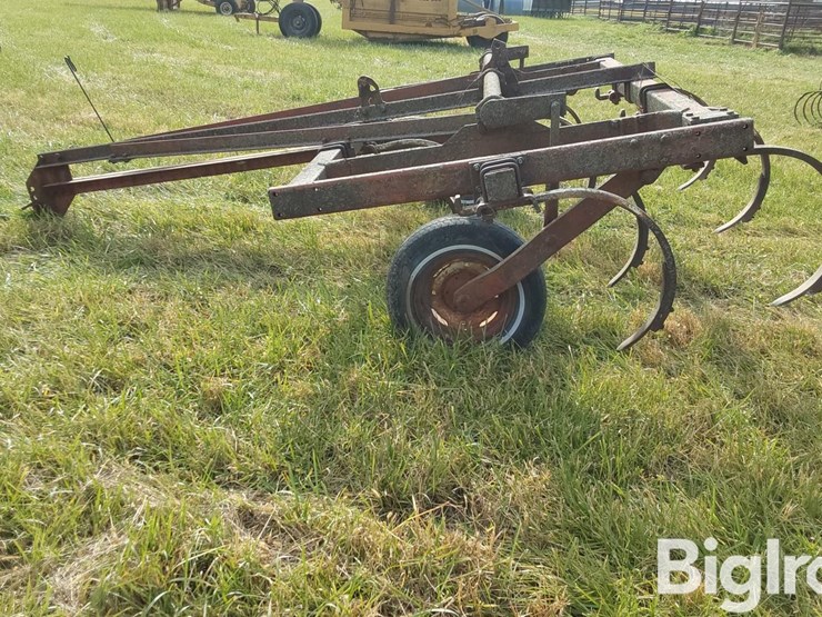 international-55-image-8