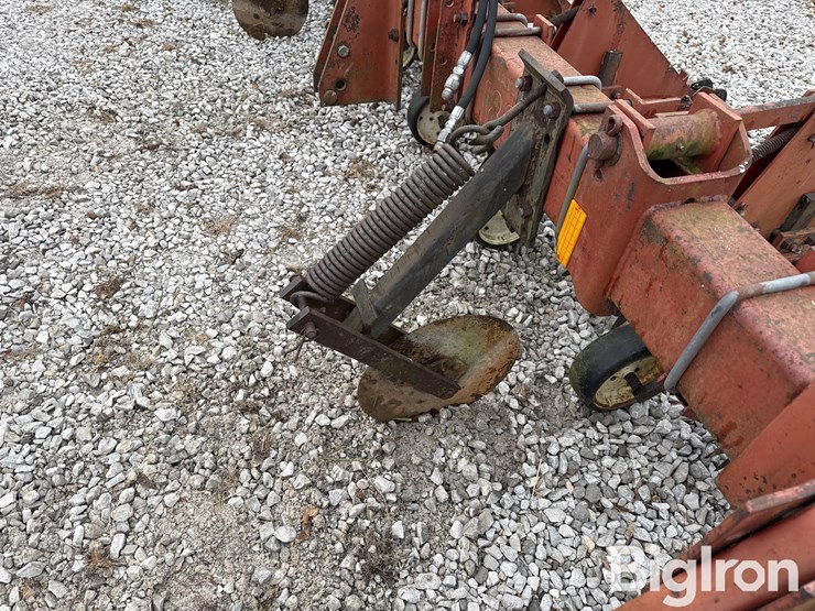 international-183-image-15