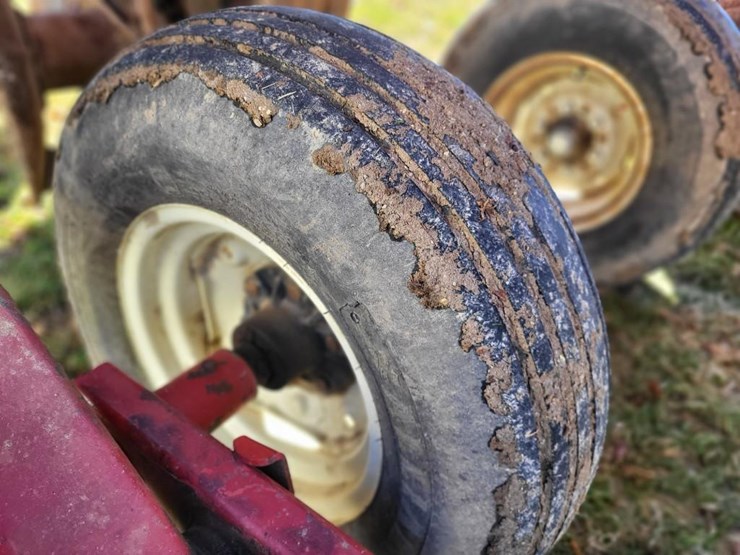 sunflower-1433-28-image-22