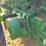 john-deere-620-image-19