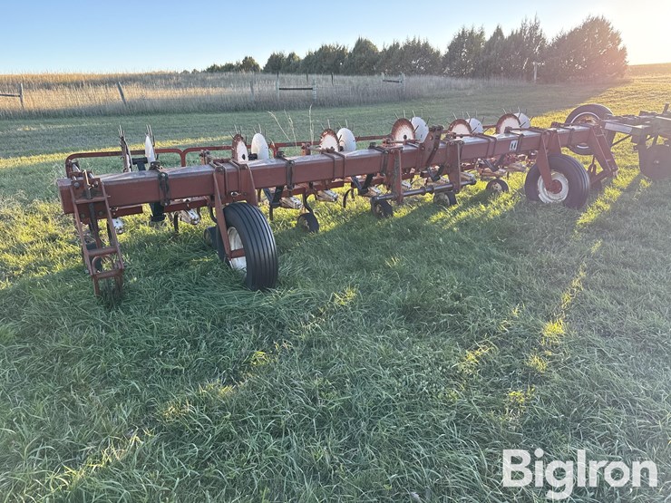 international-153-image-3