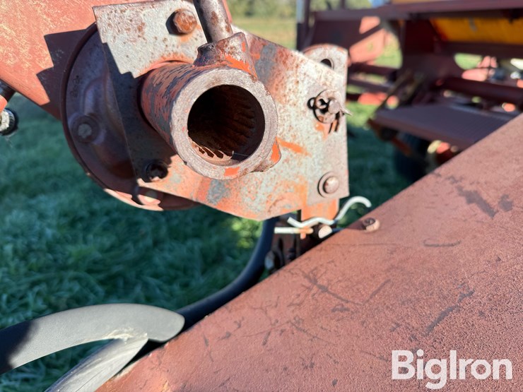 international-400-image-11