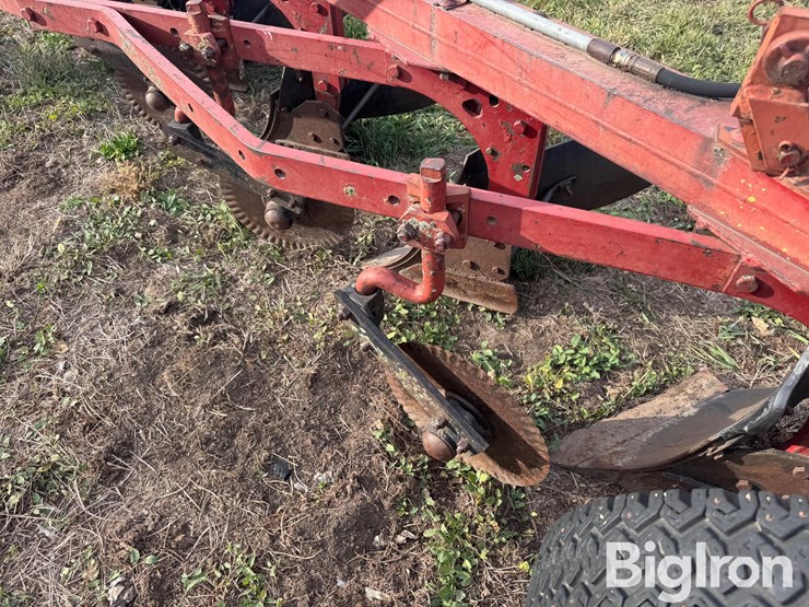 international-5-image-17