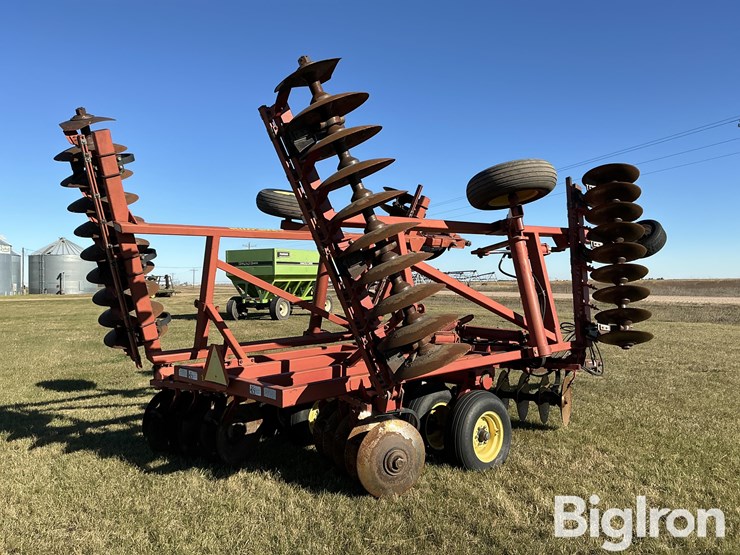 sunflower-1232-21-image-5