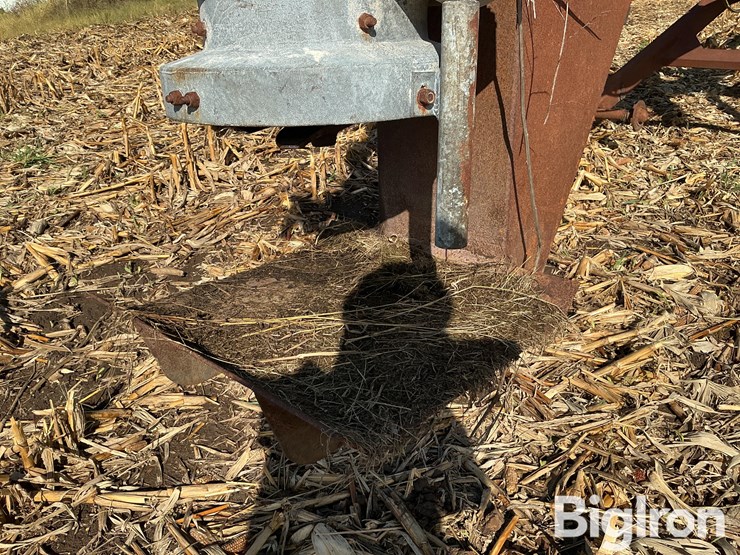 balzer-1000-image-15